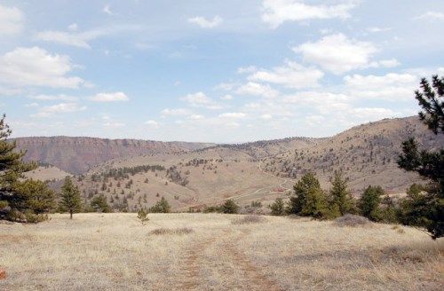 TBD Front Range Buffalo (Tract 13), Lyons, CO 80540