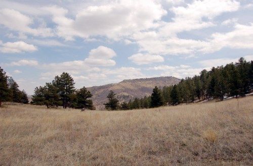 TBD Front Range Buffalo (Tract 10), Lyons, CO 80540