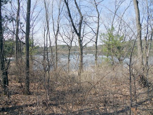 23rd Lane Lot 1, Wild Rose, WI 54984