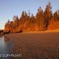 Tr 7 Hesketh Island, Homer, AK 99603 ID:8550671