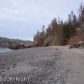 Tr 7 Hesketh Island, Homer, AK 99603 ID:8550677