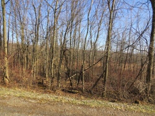 Lot 23 Cogar Dr, Frankfort, NY 13340