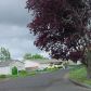 107 South Linden Street, Cornelius, OR 97113 ID:8504184