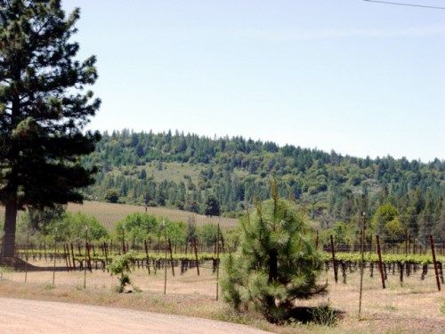 8951 Hwy 175, Kelseyville, CA 95451