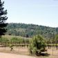 8951 Hwy 175, Kelseyville, CA 95451 ID:8595505