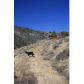 Tatra Trail, Kernville, 93238, Kernville, CA 93238 ID:4436892