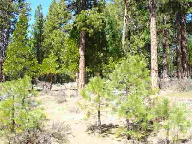 2440 Beaver Road, Clio, CA 96106