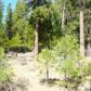 2440 Beaver Road, Clio, CA 96106 ID:3863627