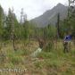 9633 S River Drive, Palmer, AK 99645 ID:8676798