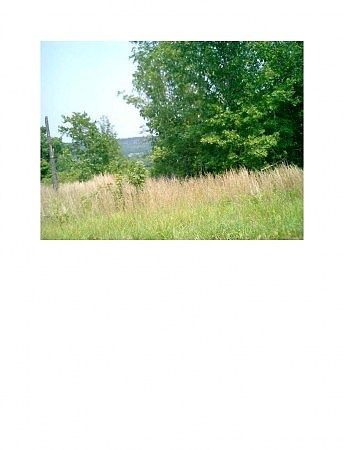 Lot 7 White River Station, Mountain Home, AR 72653