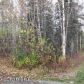 L175A Richner Road, Chugiak, AK 99567 ID:8684655