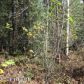 L175A Richner Road, Chugiak, AK 99567 ID:8684659