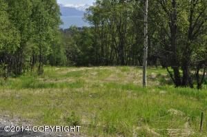 L31 Golden Plover Avenue, Homer, AK 99603