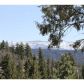 1125 Fawnskin Dr, Fawnskin, CA 92333 ID:1144041