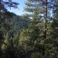 7487 Yosemite Park Way, Yosemite National Park, CA 95389 ID:3626571