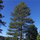 7487 Yosemite Park Way, Yosemite National Park, CA 95389 ID:3626573