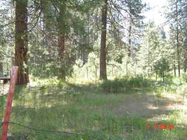 6772 BUCKS LAKE ROAD, Meadow Valley, CA 95956