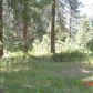 6772 BUCKS LAKE ROAD, Meadow Valley, CA 95956 ID:1146517