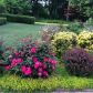 2917 Ebenezer Road, Marietta, GA 30066 ID:8736992