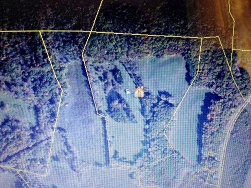 44.88 AC Off Hilham Hwy, Hilham, TN 38568