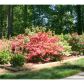 172 Oak Harbor Trail, Dawsonville, GA 30534 ID:8729500