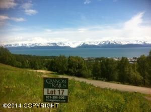 L17 Kestrel Circle, Homer, AK 99603