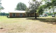 362 Andrews Road Danville, AL 35619