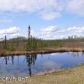 15360 Rocky Lake Drive, Big Lake, AK 99652 ID:8392139