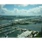 244 BISCAYNE BLVD # 4603, Miami, FL 33132 ID:8338373