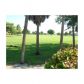 10425 NW 43 TE, Miami, FL 33178 ID:6240314