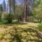 3930 Highway 193, Greenwood, CA 95635 ID:8743997