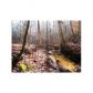 5 Wild Azalea Trail, Dahlonega, GA 30533 ID:6604435