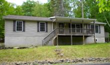 25 Bluebird Dr Lake Ariel, PA 18436