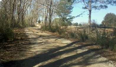 4379 County Rd 31, Rose Hill, MS 39356