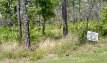 Lot 31 Royal Tern Way Carrabelle, FL 32322