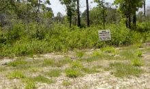 Lot 15 Royal Tern Way Carrabelle, FL 32322