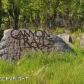 L9 Golden Plover Avenue, Homer, AK 99603 ID:8410645