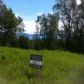 L1 Golden Plover Avenue, Homer, AK 99603 ID:8410764