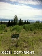 L26 Kestrel Circle, Homer, AK 99603