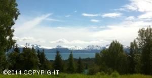 L7 Golden Plover Avenue, Homer, AK 99603