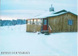 41771 Brown Drive, Homer, AK 99603