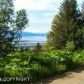 5728 Scenic Place, Homer, AK 99603 ID:8660570