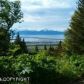 5728 Scenic Place, Homer, AK 99603 ID:8660572