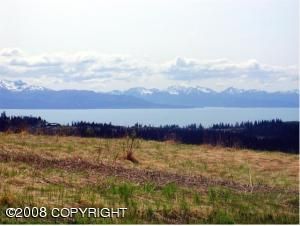 000 Heather Street, Homer, AK 99603