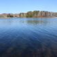 LOT 19 CLEARWATER DRIVE, Spring City, TN 37381 ID:8769264