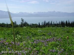 L1 Cottonwood Hill Avenue, Homer, AK 99603