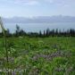 L1 Cottonwood Hill Avenue, Homer, AK 99603 ID:8796964