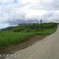 L1 Cottonwood Hill Avenue, Homer, AK 99603 ID:8796968