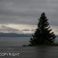 5460 Clearwater Drive, Homer, AK 99603 ID:8648031