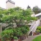 9210 Market Place Unit H203, Lake Stevens, WA 98258 ID:8809449